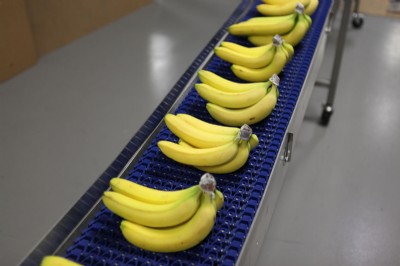 不锈钢塑料模块化皮带输送机携带香蕉